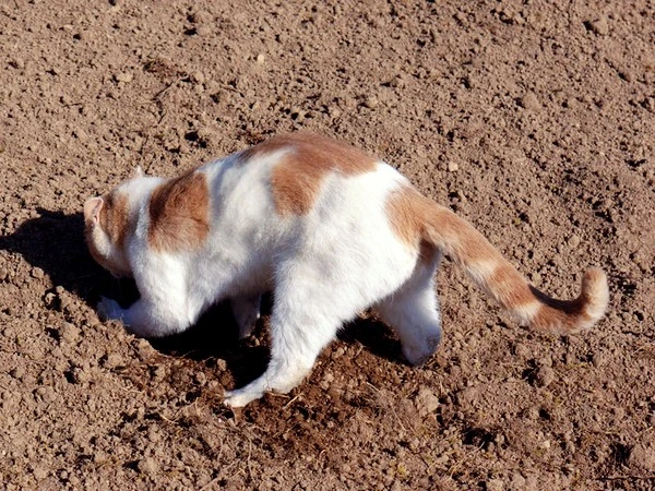 LzAUl7z.jpg?type=w1600