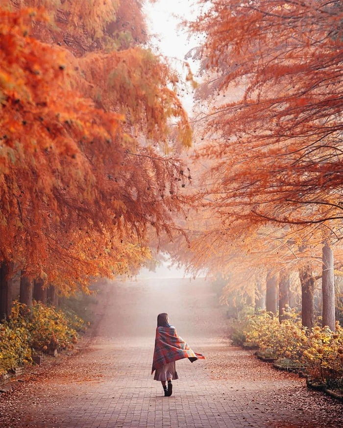 photography-tatsuto-shibata-17-805x1006.jpg?type=w1600