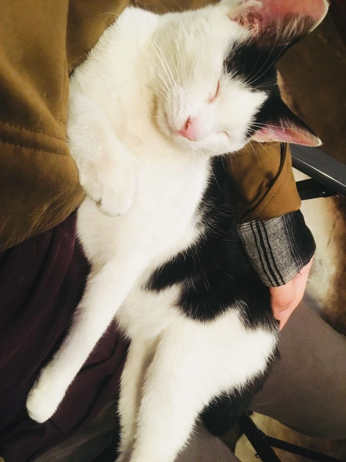 IMG_3901.jpg?type=w1600