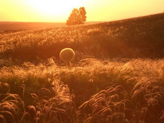 955b8f97-oshkindt-550x412.jpg?type=w1600