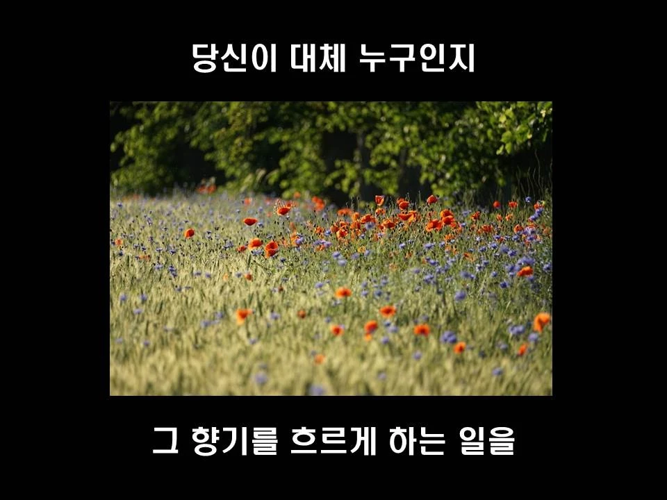 %EC%8A%AC%EB%9D%BC%EC%9D%B4%EB%93%9C32.JPG?type=w1600