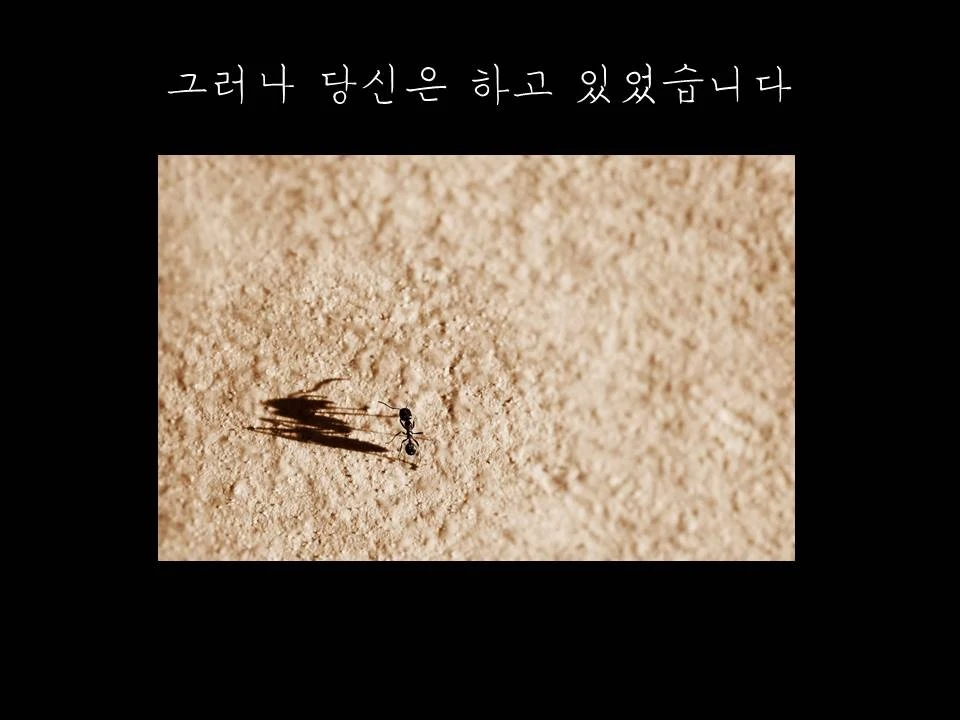 %EC%8A%AC%EB%9D%BC%EC%9D%B4%EB%93%9C26.JPG?type=w1600