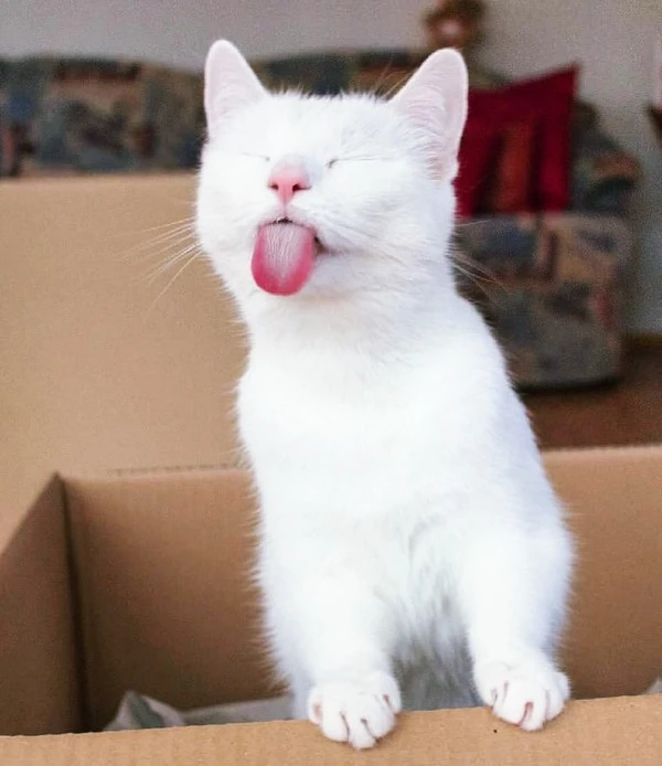 000000.jpg?type=w1600