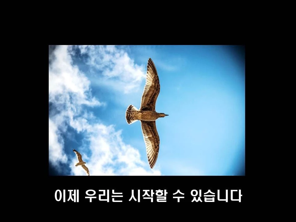 %EC%8A%AC%EB%9D%BC%EC%9D%B4%EB%93%9C34.JPG?type=w1600