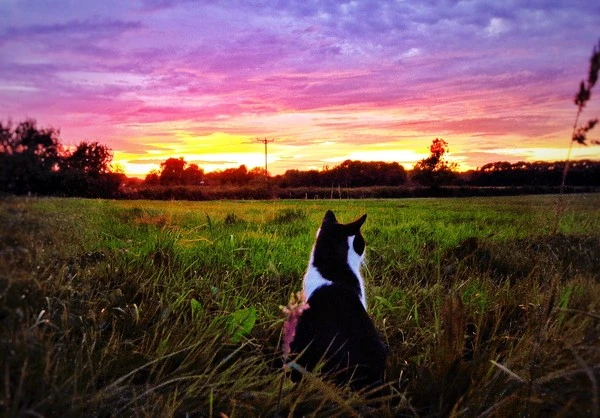 CsGDAbeWYAEnA7U.jpg?type=w1600