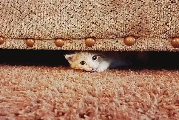 tbxu5jzw84v21.jpg?type=w1600