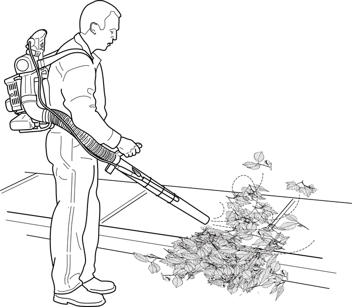 autumn-161776.png?type=w1600