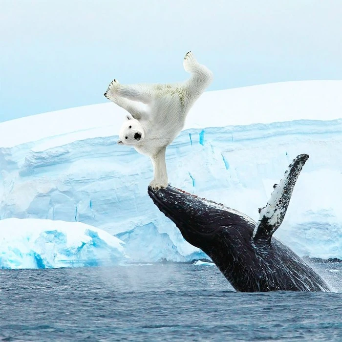 art-martijn-schrijver-11-805x805.jpg?type=w1600