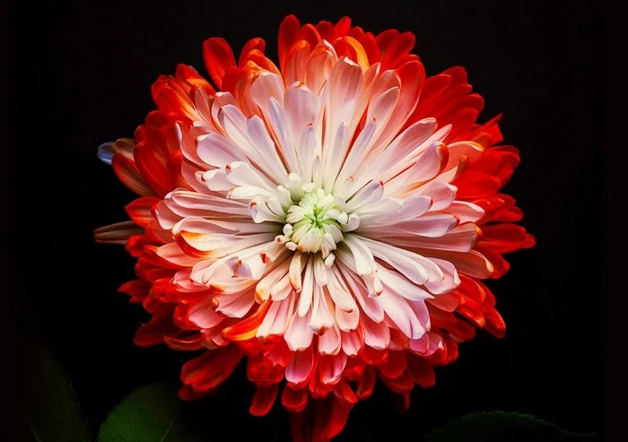 photography-michelle-newport-feature-805x568.jpg?type=w1600