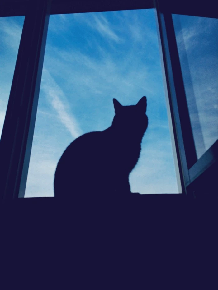 e9eda110873ad2f4de04d7fedc96c27c.jpg?type=w1600