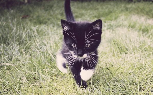 c076253b-4d52-4090-8c27-36cfe72cce76.jpg?type=w1600