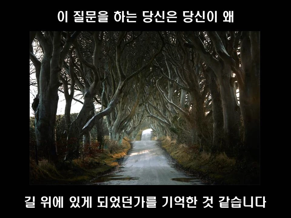 %EC%8A%AC%EB%9D%BC%EC%9D%B4%EB%93%9C11.JPG?type=w1600