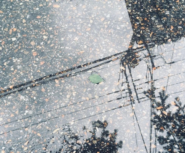 IMG_8368.jpg?type=w1600