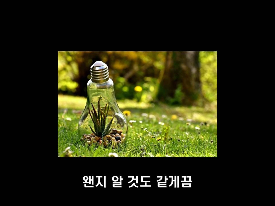 %EC%8A%AC%EB%9D%BC%EC%9D%B4%EB%93%9C6.JPG?type=w1600