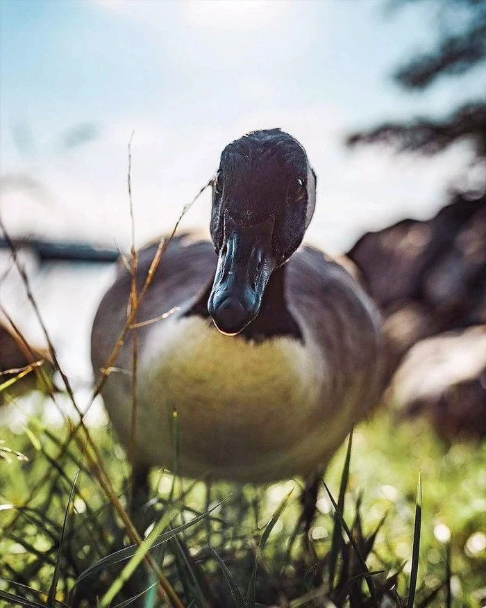 photography-joachim-munter-11-800x1000.jpg?type=w1600