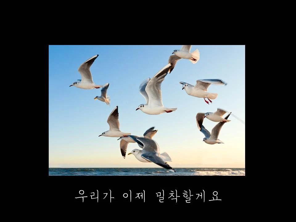 %EC%8A%AC%EB%9D%BC%EC%9D%B4%EB%93%9C29.JPG?type=w1600