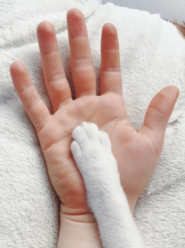 b540d87d9f019df2016a47d69e51f94f.jpg?type=w1600