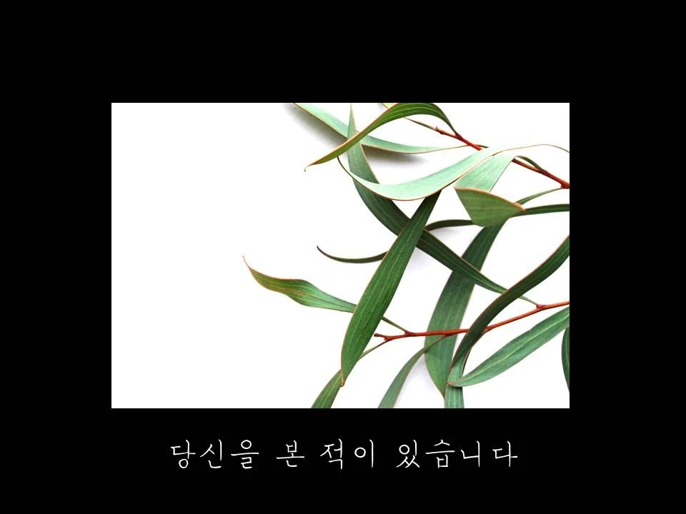 %EC%8A%AC%EB%9D%BC%EC%9D%B4%EB%93%9C2.JPG?type=w1600