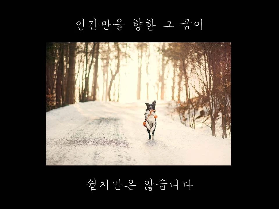 %EC%8A%AC%EB%9D%BC%EC%9D%B4%EB%93%9C24.JPG?type=w1600