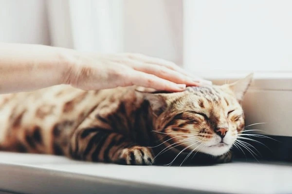 01112.jpg?type=w1600