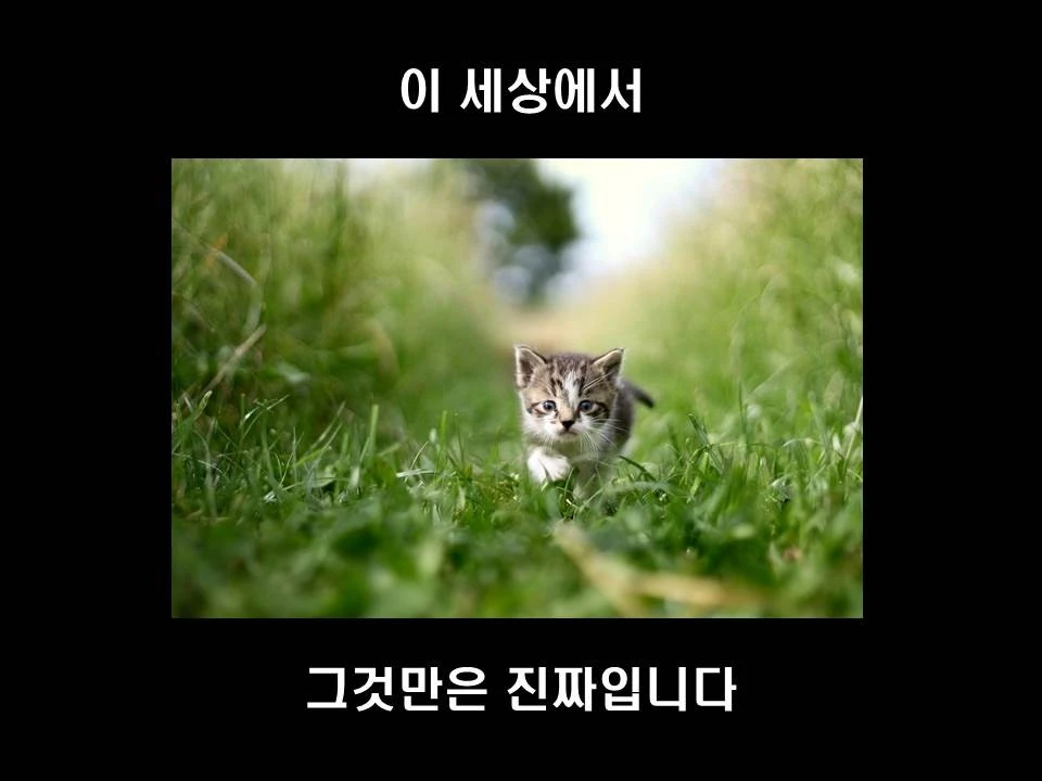 %EC%8A%AC%EB%9D%BC%EC%9D%B4%EB%93%9C9.JPG?type=w1600