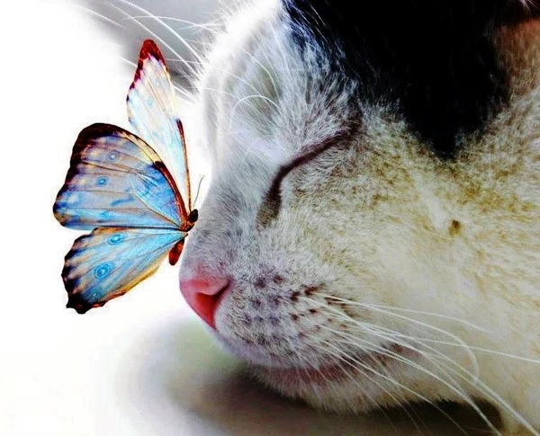 93b2e65c0e04e19e62dc72296a10c80f.jpg?type=w1600