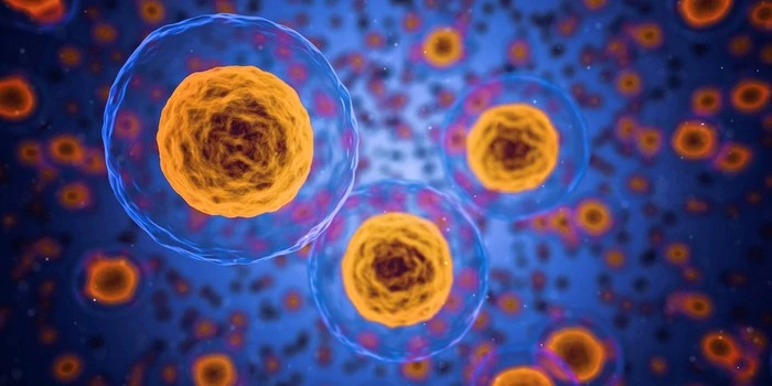 cells-1872666_1920.jpg?type=w1600