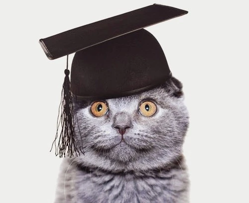 education-verification-diploma-mills-e1426806653156.jpg?type=w1600