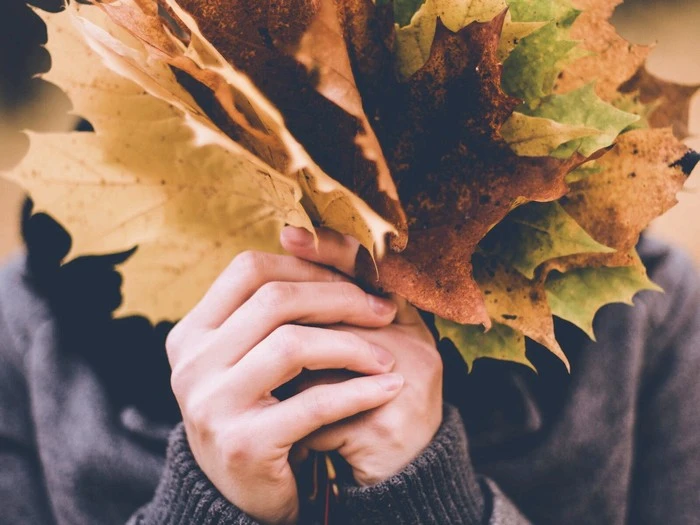 1600x1200-5404872-autumn-fall-leaf-hand-maple-nature-leafe-maple-leafe-color.jpg?type=w1600