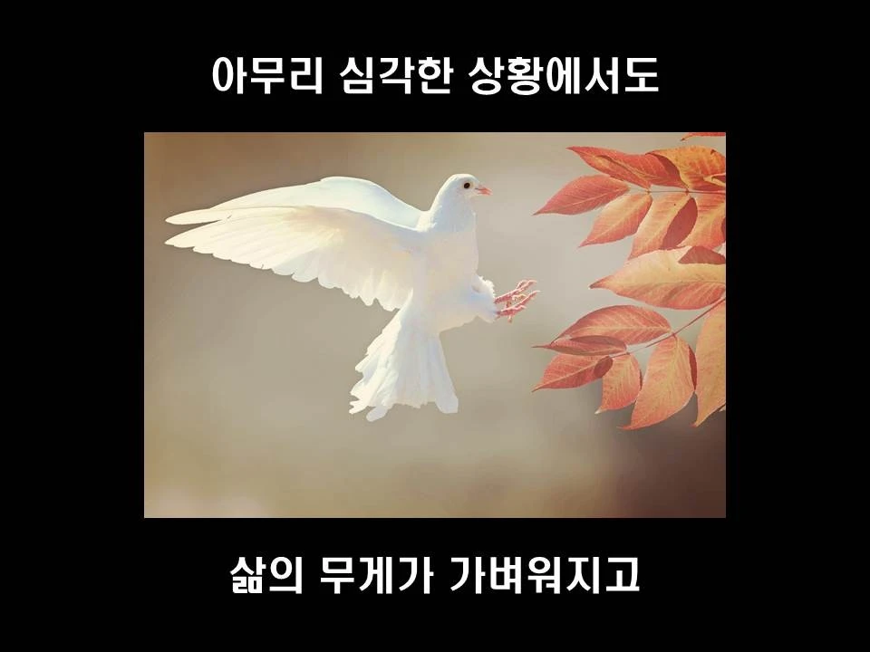 %EC%8A%AC%EB%9D%BC%EC%9D%B4%EB%93%9C40.JPG?type=w1600