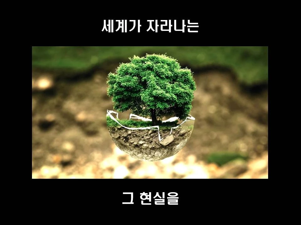 %EC%8A%AC%EB%9D%BC%EC%9D%B4%EB%93%9C8.JPG?type=w1600