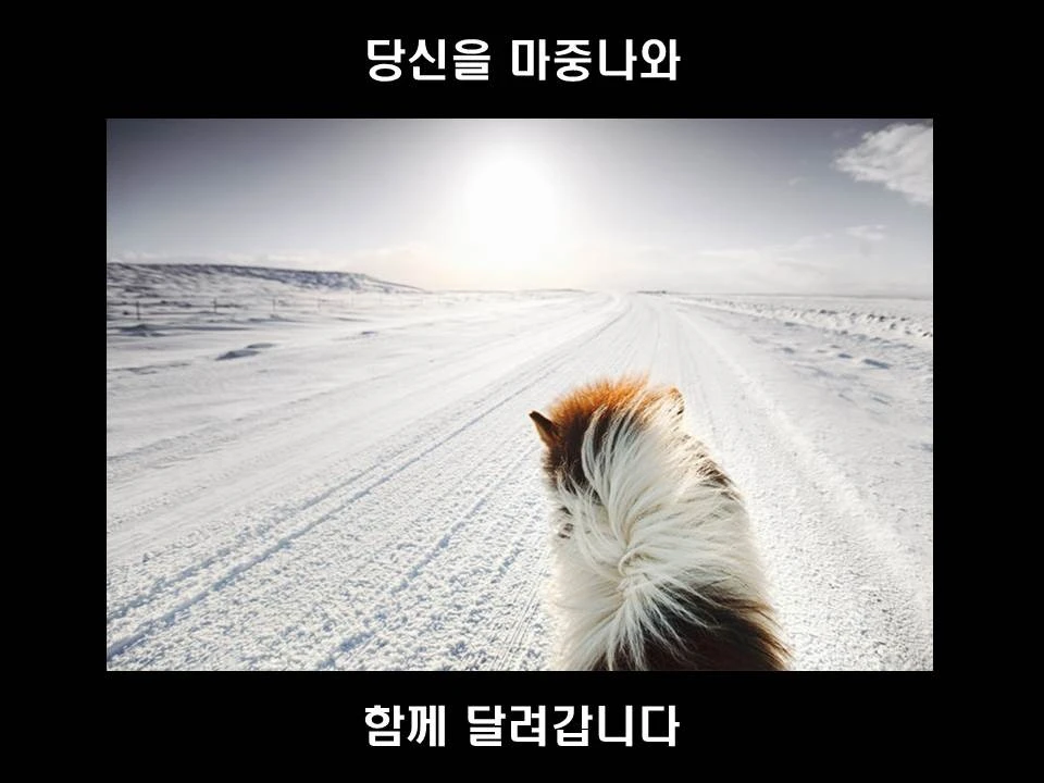 %EC%8A%AC%EB%9D%BC%EC%9D%B4%EB%93%9C14.JPG?type=w1600