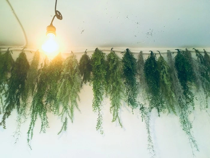 IMG_9221.jpg?type=w1600