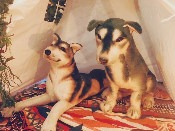 IMG_0504.jpg?type=w1600