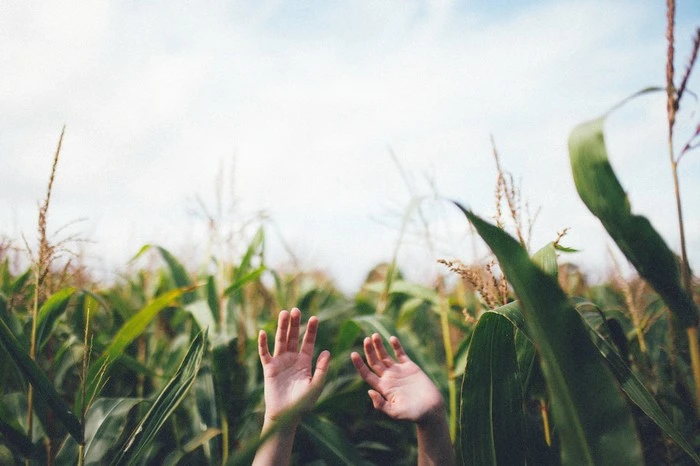 hand-2604429_1920.jpg?type=w1600