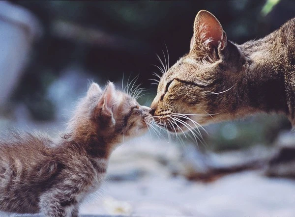 qoXgw.jpg?type=w1600