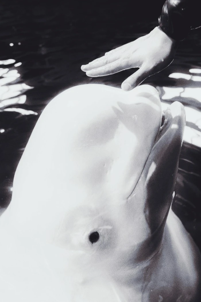 IMG_7259.JPG?type=w1600