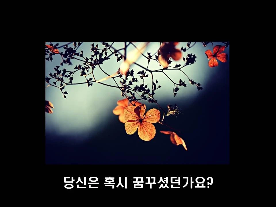 %EC%8A%AC%EB%9D%BC%EC%9D%B4%EB%93%9C9.JPG?type=w1600