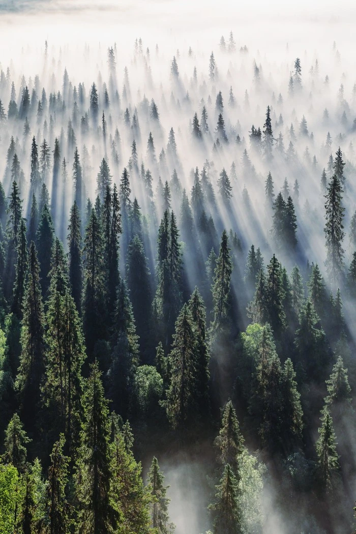 8y4hhnhhk1951.jpg?type=w1600