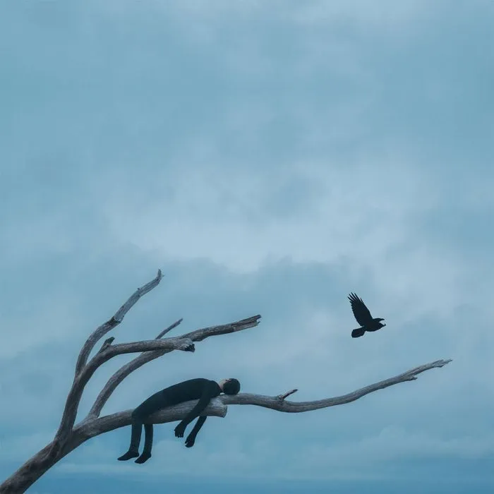 photography-gabriel-isak-10-805x805.jpg?type=w1600