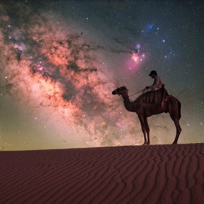 photography-benjamin-barakat-13-805x805.jpg?type=w1600