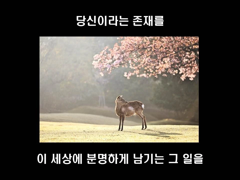 %EC%8A%AC%EB%9D%BC%EC%9D%B4%EB%93%9C33.JPG?type=w1600