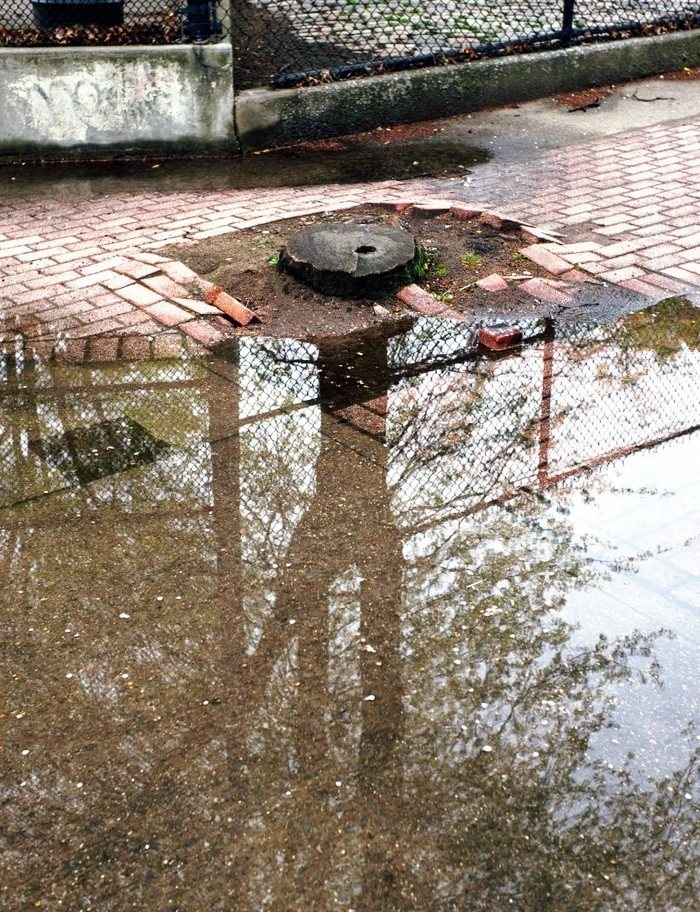 photography-eric-kogan-15-805x1049.jpg?type=w1600