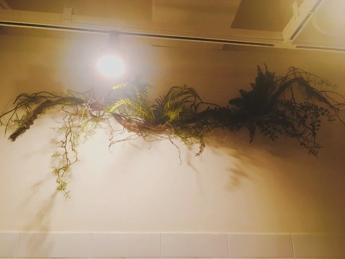 IMG_0007.jpg?type=w1600