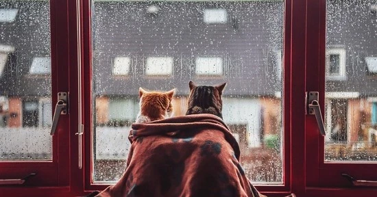 fb_thumb_5829bec369011.jpg?type=w740