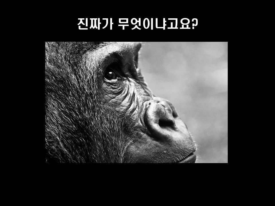 %EC%8A%AC%EB%9D%BC%EC%9D%B4%EB%93%9C7.JPG?type=w1600