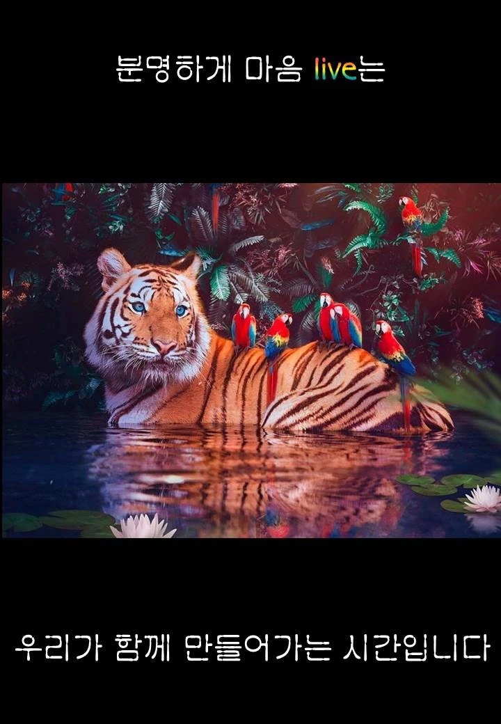 0069g.JPG?type=w1600