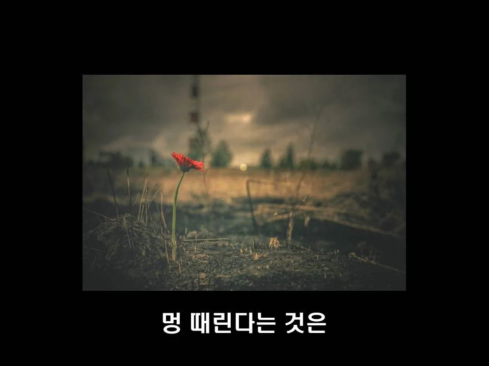 %EC%8A%AC%EB%9D%BC%EC%9D%B4%EB%93%9C30.JPG?type=w1600