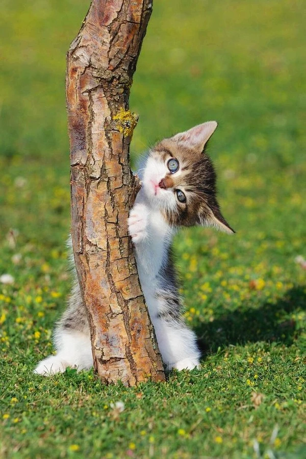 124648-1024__32484.1606927291.jpg?type=w1600