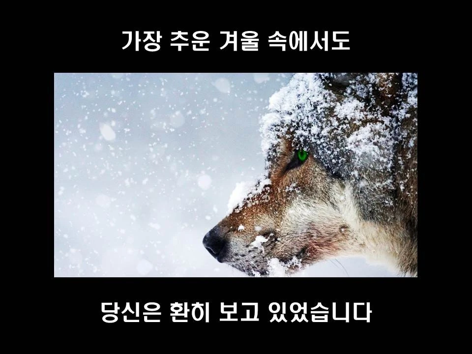 %EC%8A%AC%EB%9D%BC%EC%9D%B4%EB%93%9C17.JPG?type=w1600